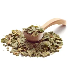 Pesto Verde